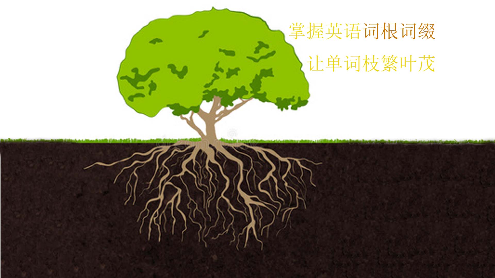 发誓英语,发誓英语短语