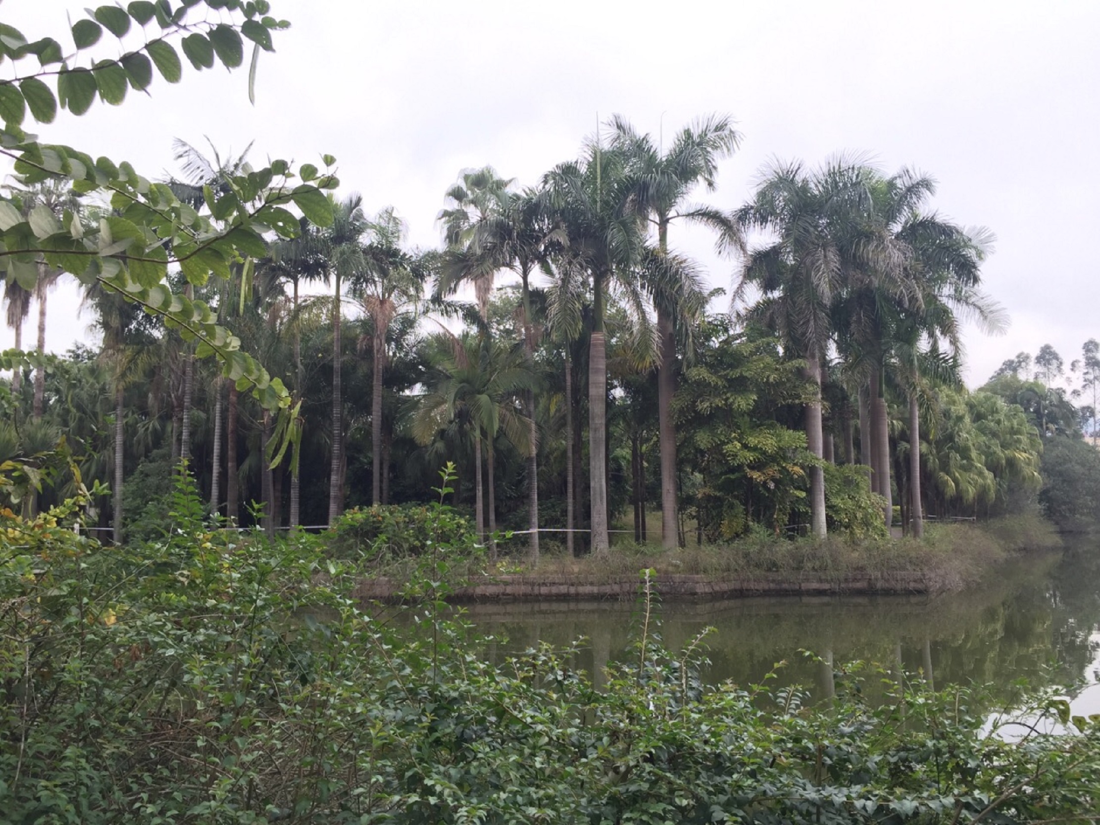 福州温泉公园,福州温泉公园景点介绍