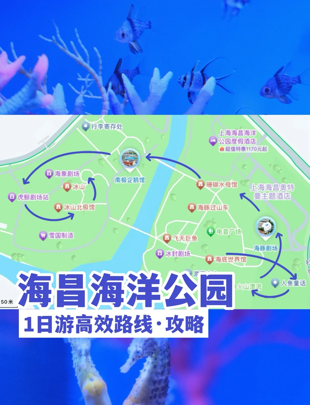 海洋公园地图,杭州长乔极地海洋公园地图