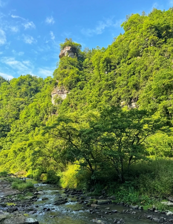 石柱黄水森林公园,石柱黄水森林公园门票