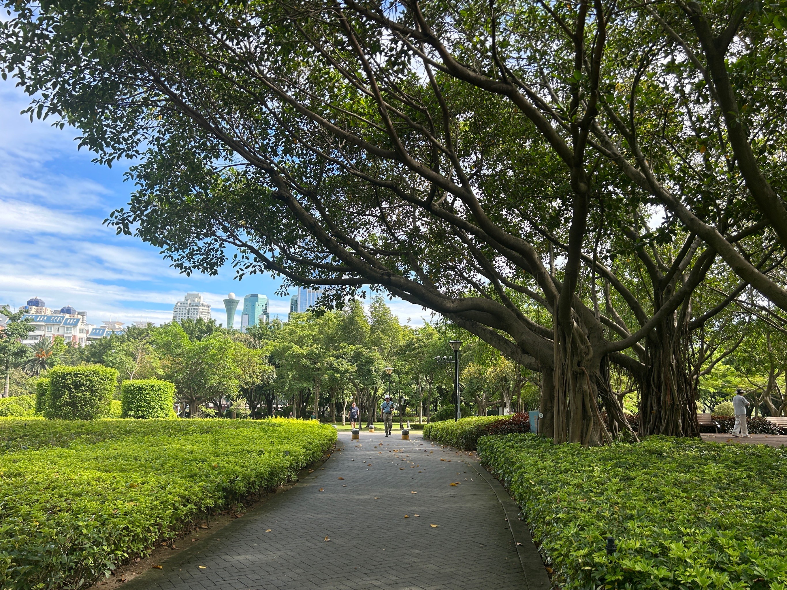 厦门白鹭洲公园,厦门白鹭洲公园景点介绍