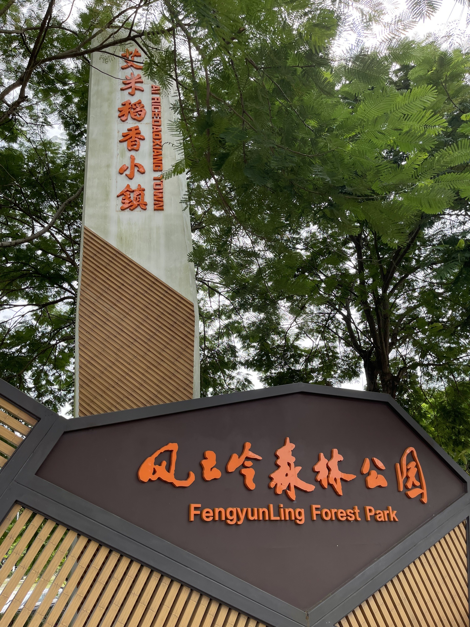 从化风云岭森林公园,从化风云岭森林公园攻略
