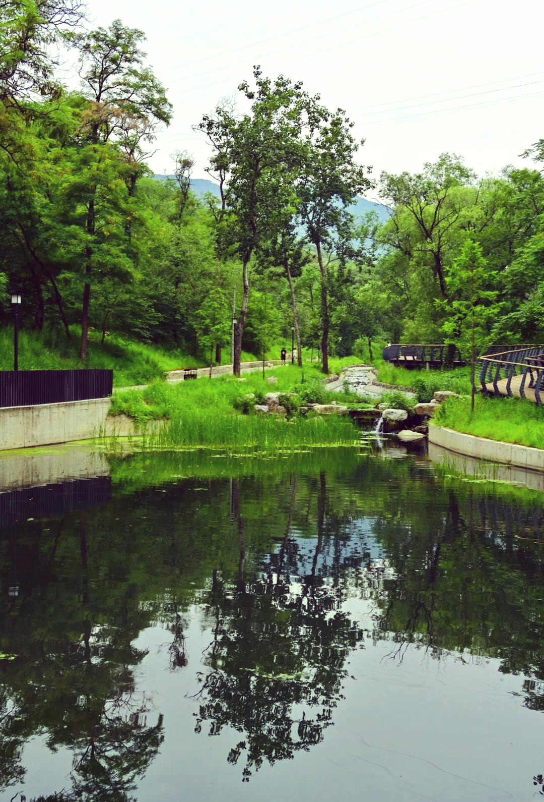白水寺森林公园,白水寺森林公园要门票吗