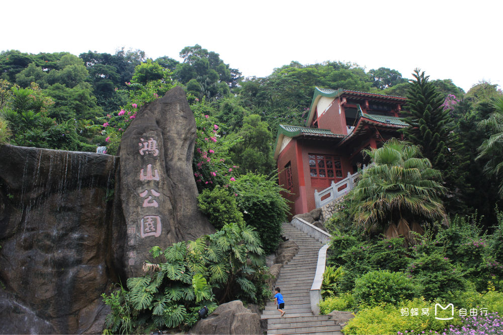 鸿山公园,鸿山公园泡茶
