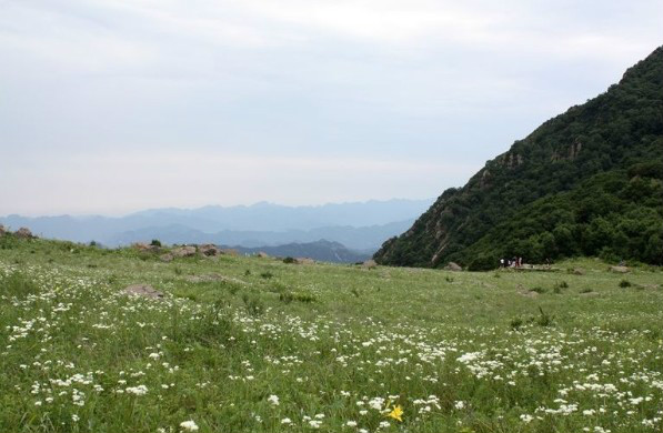 霞云岭森林公园,霞云岭森林公园门票