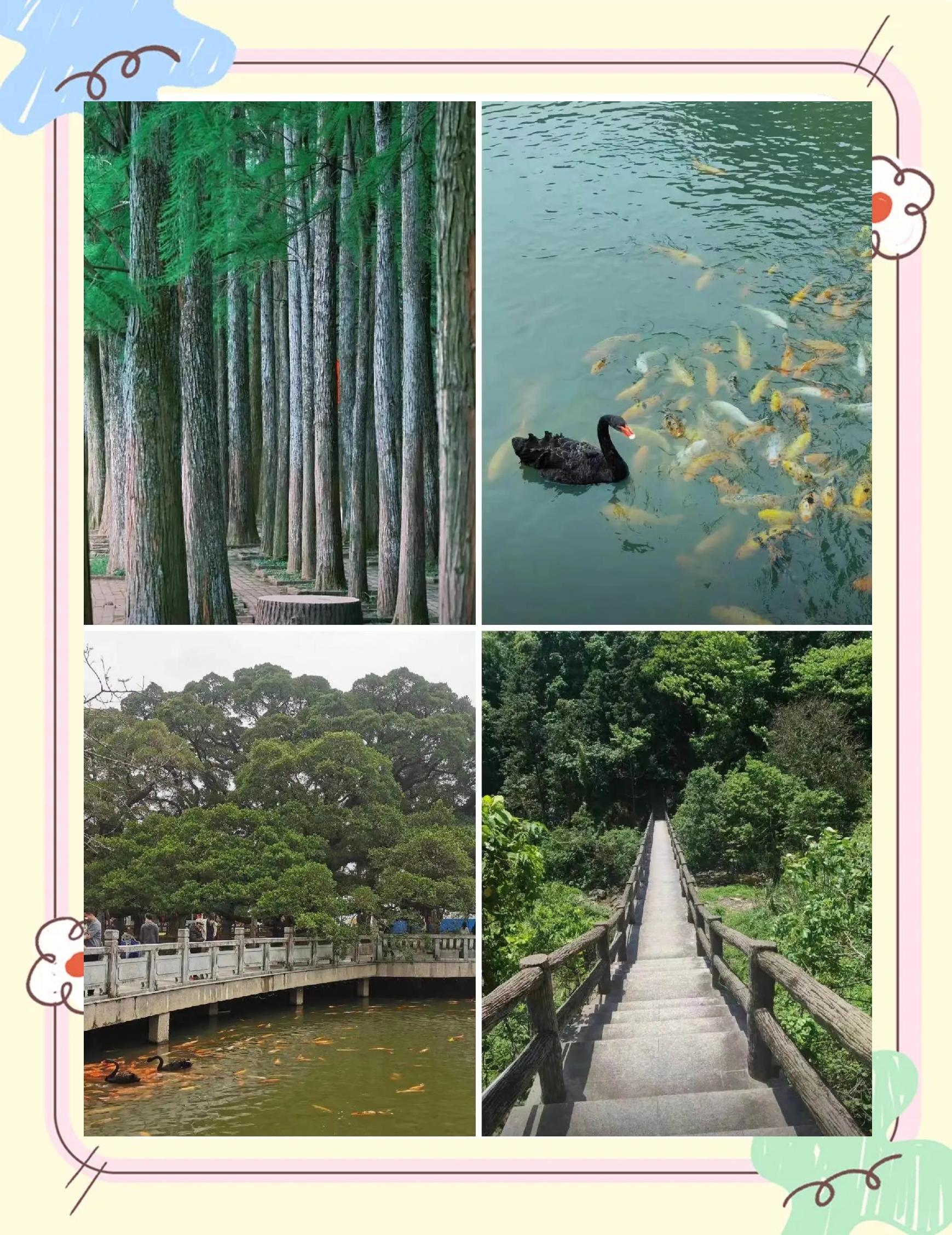 福州国家森林公园,福州国家森林公园要门票吗
