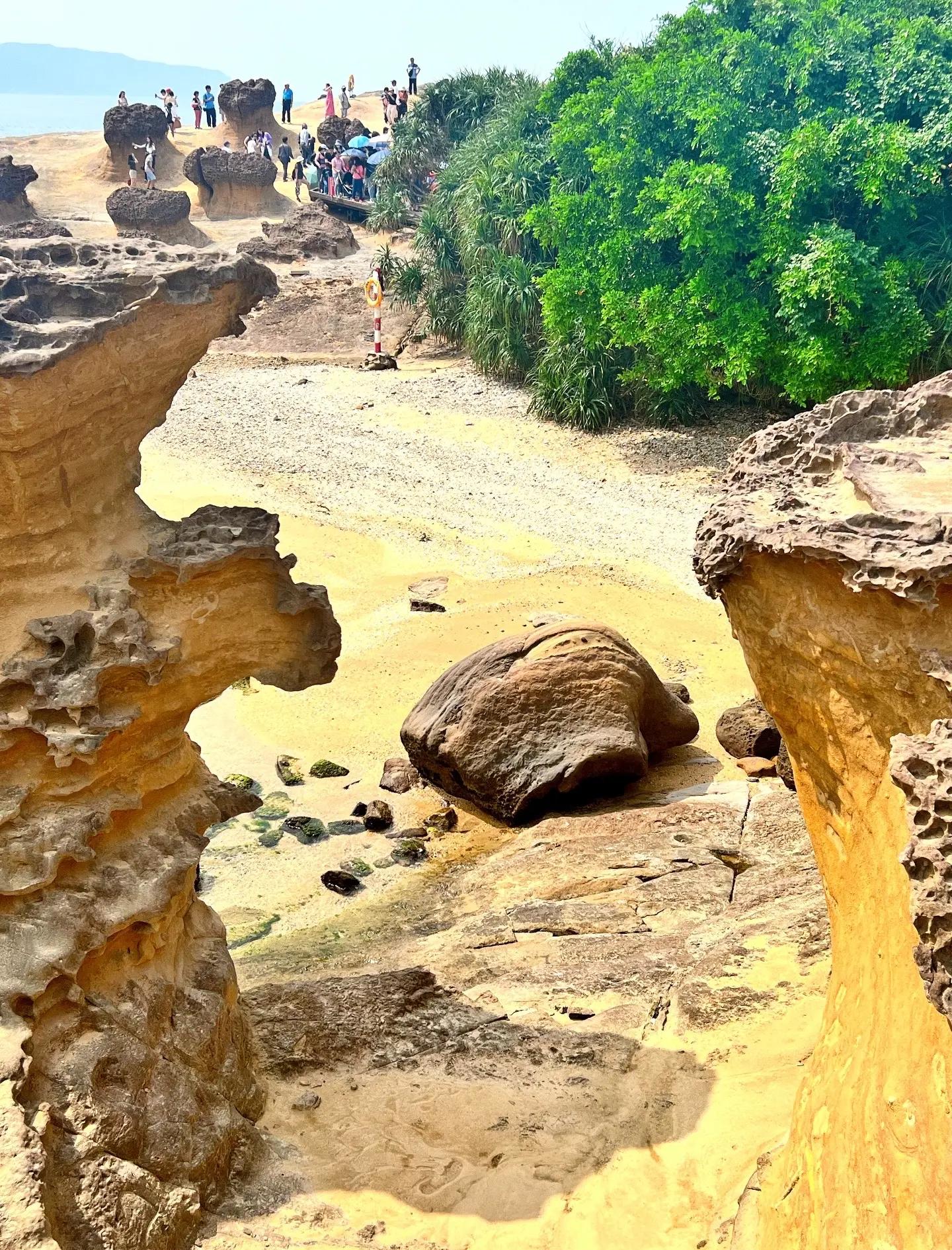 野柳地质公园,台北野柳地质公园