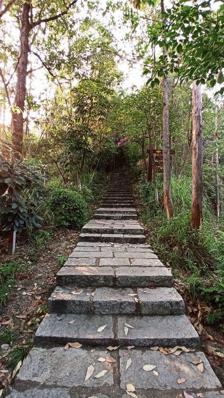 黄山鲁森林公园,黄山鲁森林公园图片欣赏