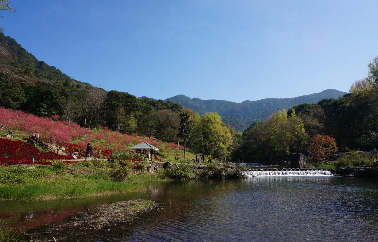 石门国家森林公园,石门国家森林公园景点介绍