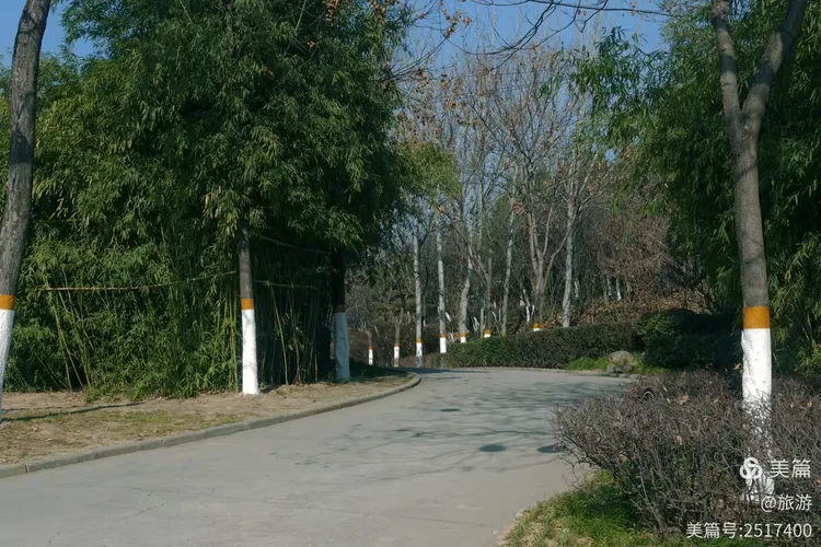 青龙寺遗址公园,青龙寺遗址公园门票预约