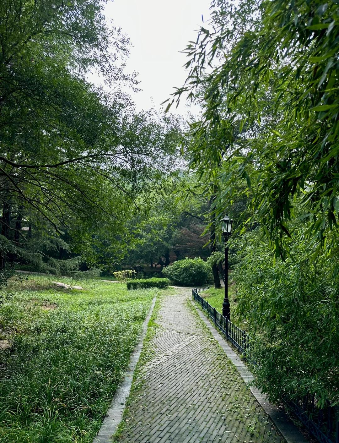 青岛中山公园,青岛中山公园要门票吗