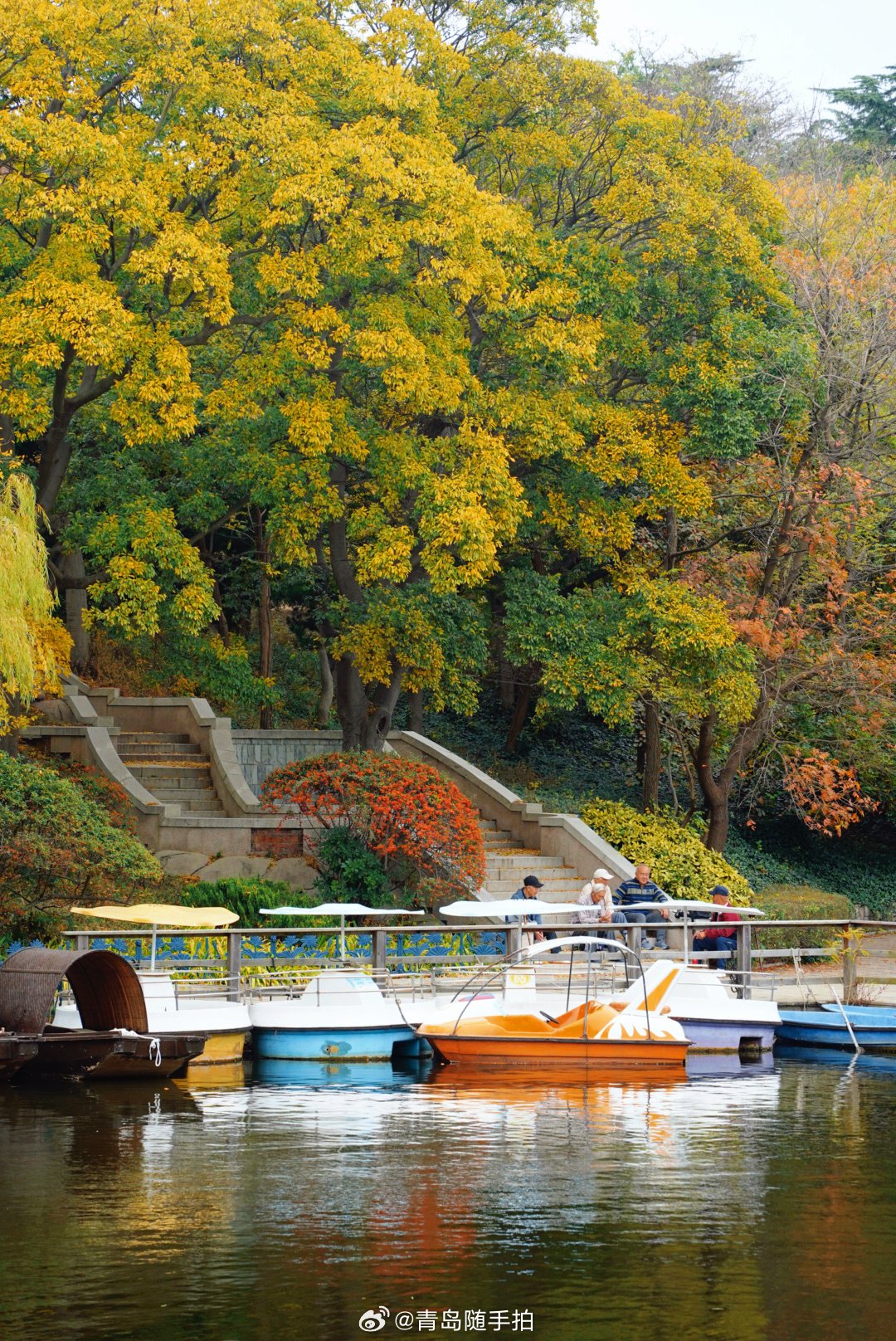 青岛中山公园,青岛中山公园要门票吗