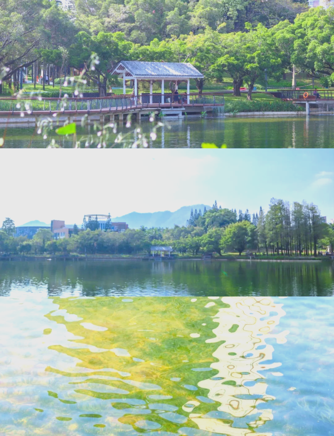四海公园,四海公园面积