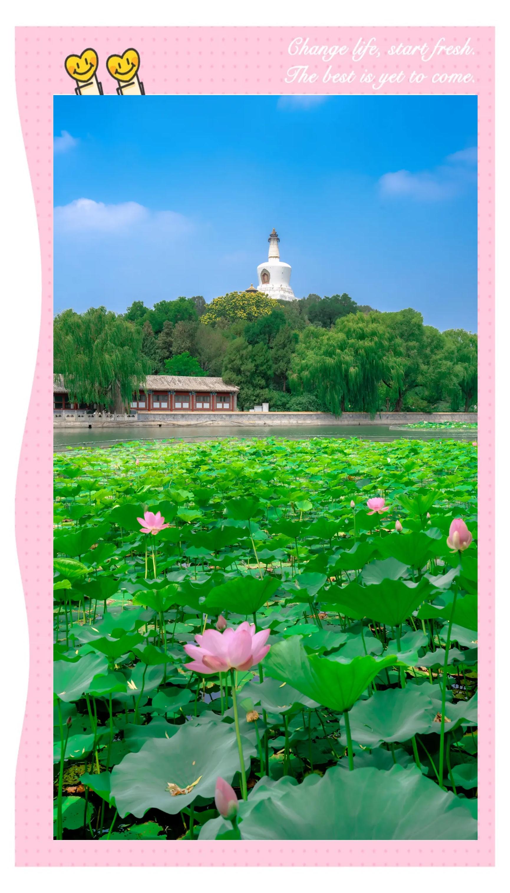 北京北海公园简介,北京北海公园简介50字