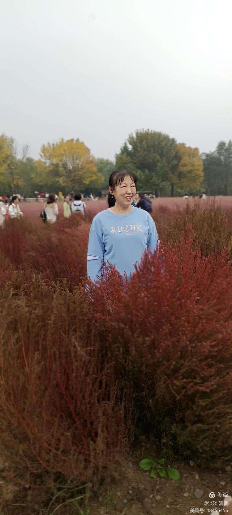 奥林匹克森林公园西门,奥林匹克森林公园西门图片