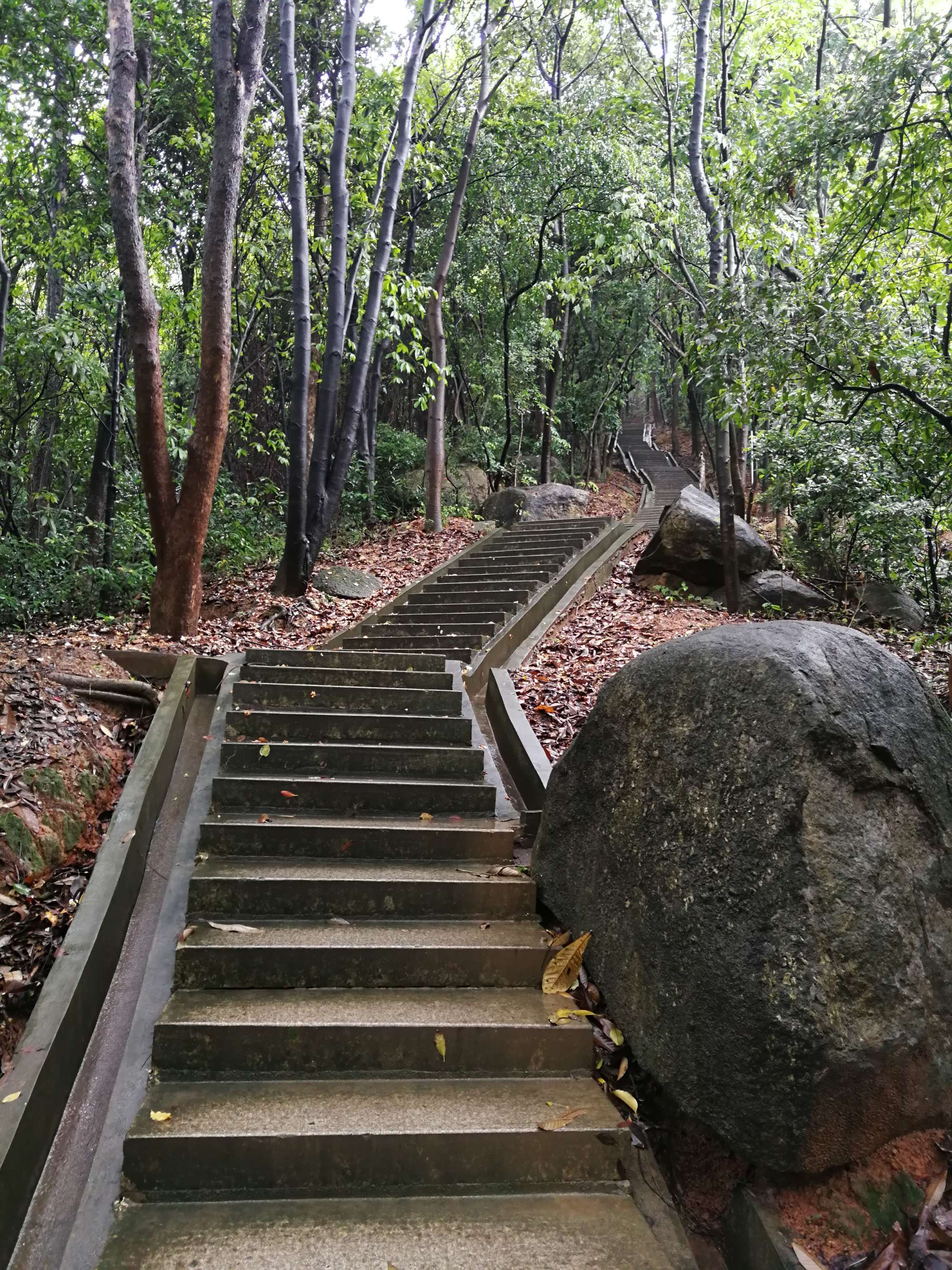 龙头山森林公园,龙头山森林公园开放时间