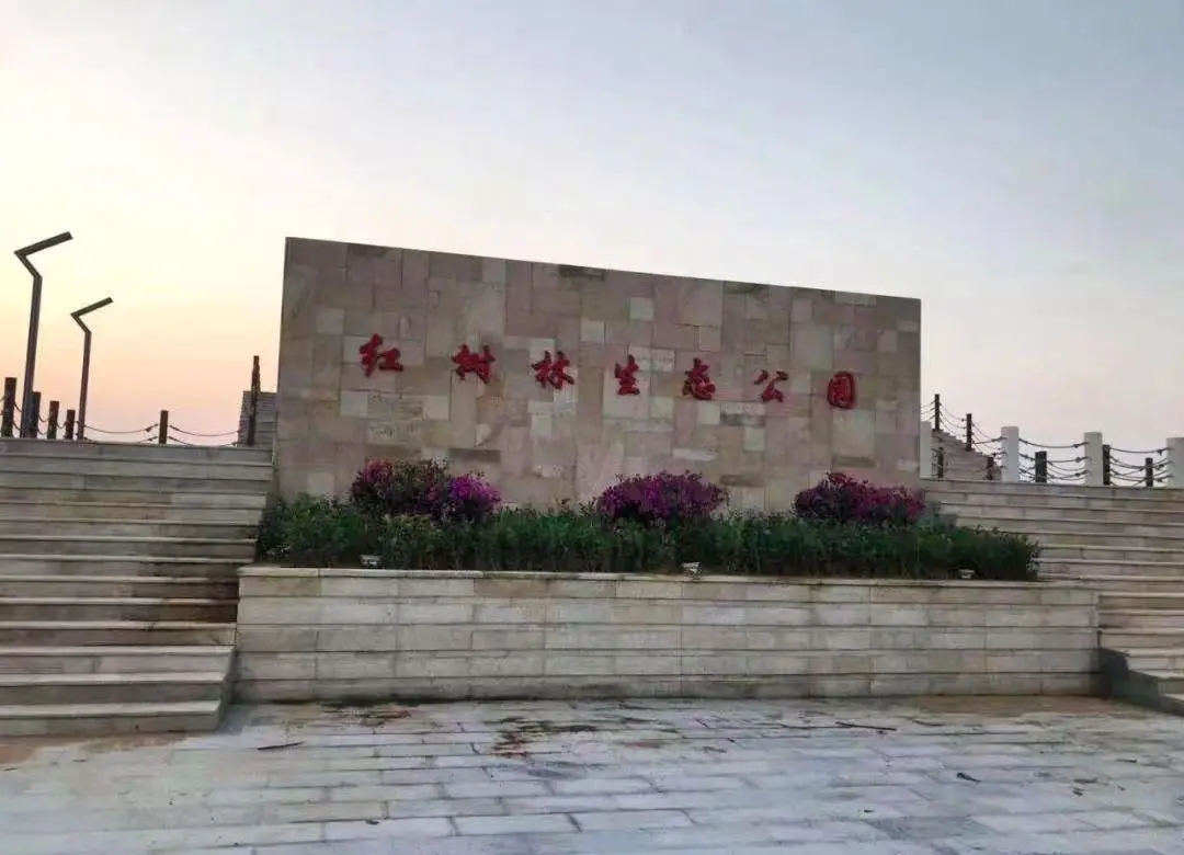 红树林公园好玩吗,红树林门票