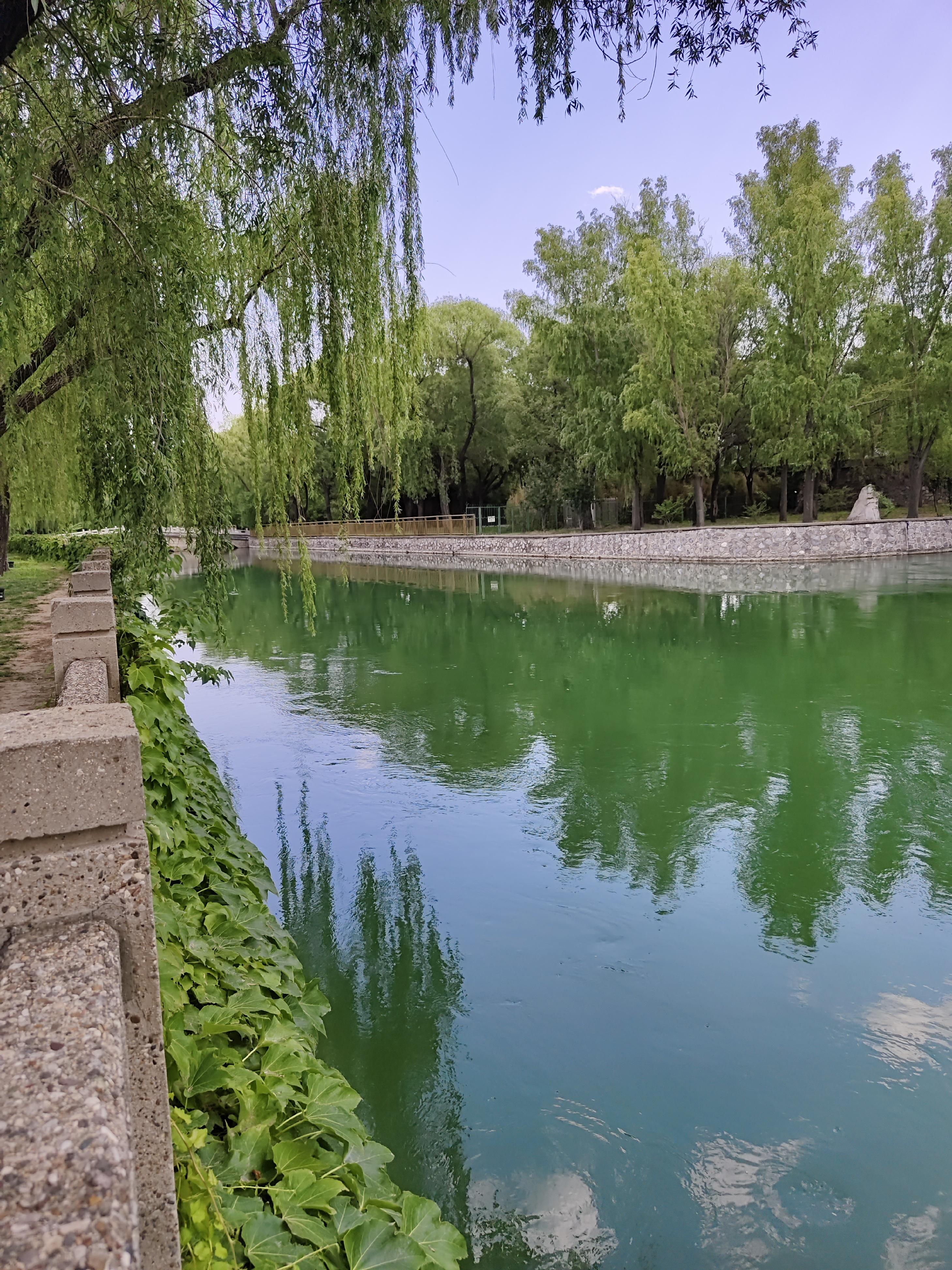上地公园,上地公园面积
