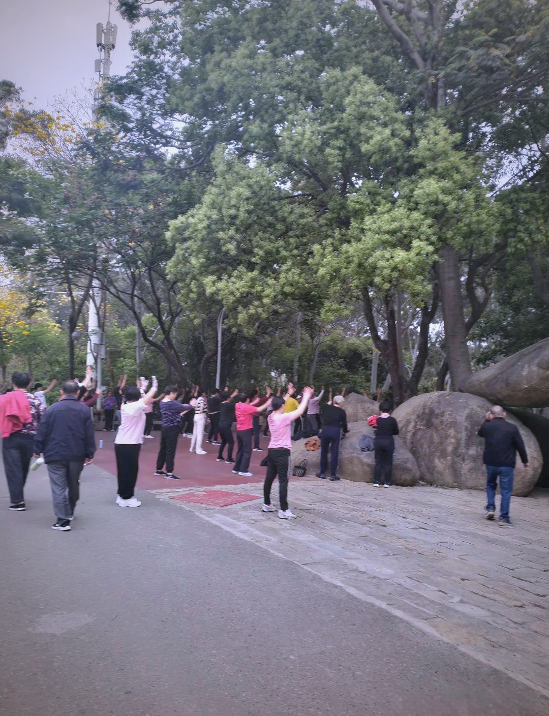 忠仑公园,忠仑公园花海