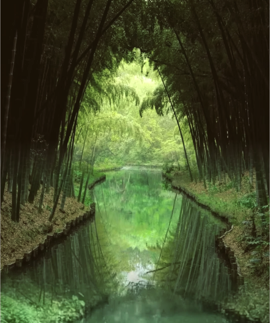湿地公园,湿地公园管理办法