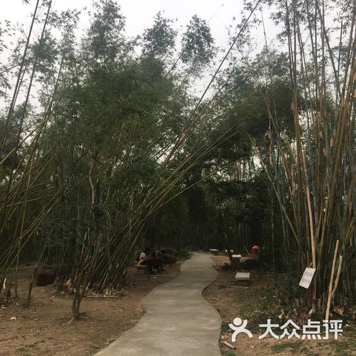 小琅环公园,小琅环公园作文