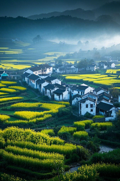 婺源在哪里,黄山婺源在哪里