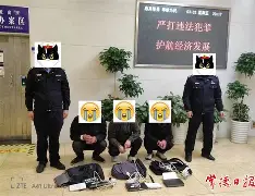 顺藤摸瓜的近义词,顺藤摸瓜类似的词语