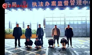 顺藤摸瓜的近义词,顺藤摸瓜类似的词语