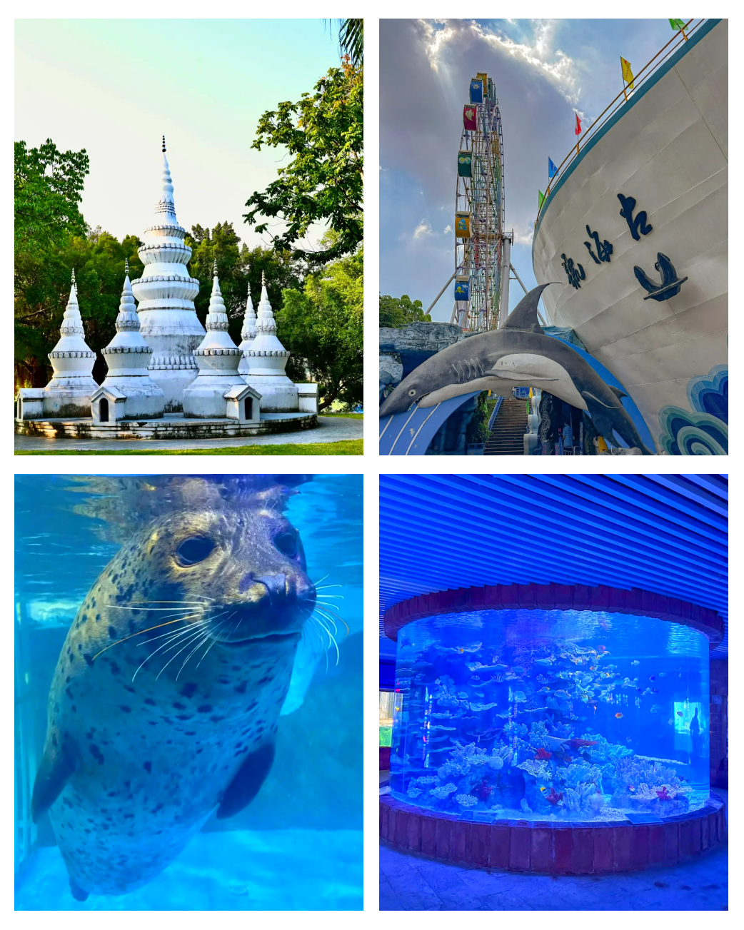 左海公园,左海公园海底世界门票多少钱