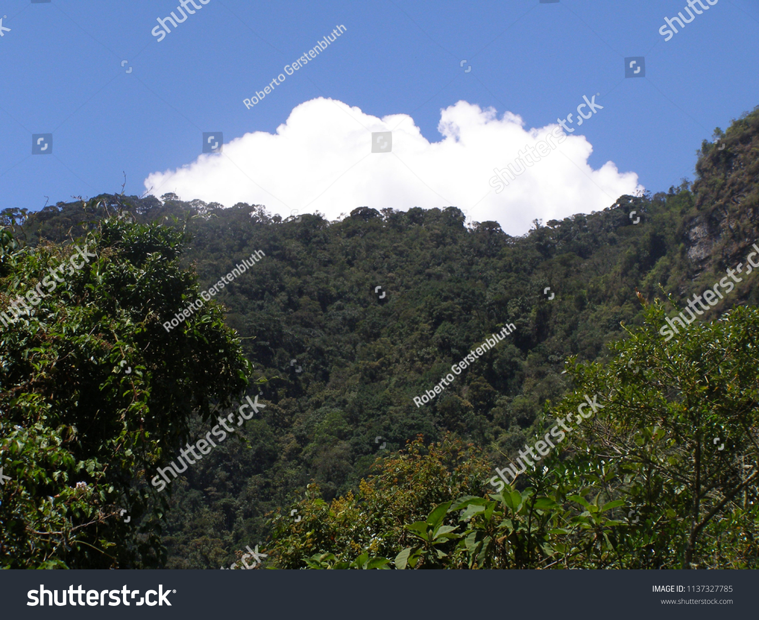 colombia,colombia是什么品牌