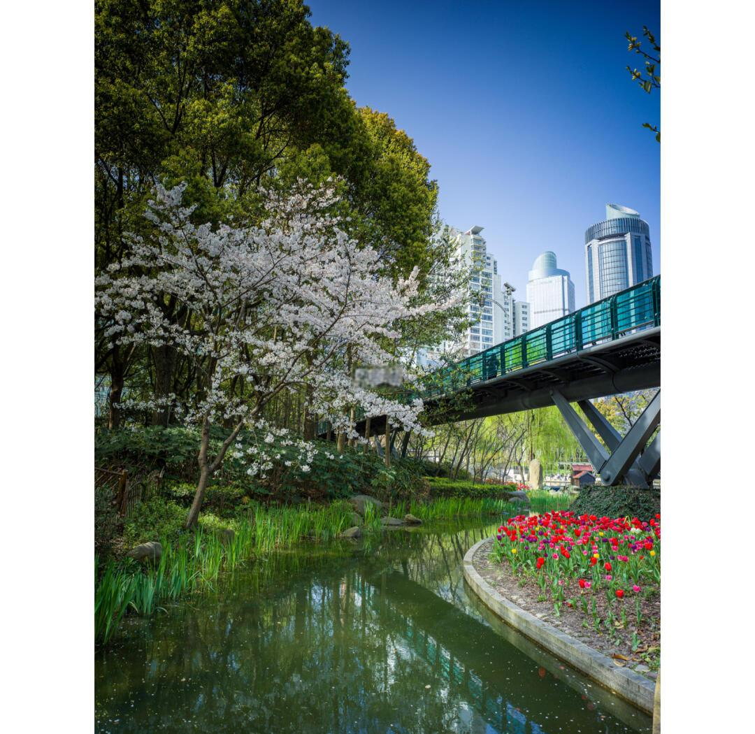 徐家汇公园,徐家汇公园儿童乐园