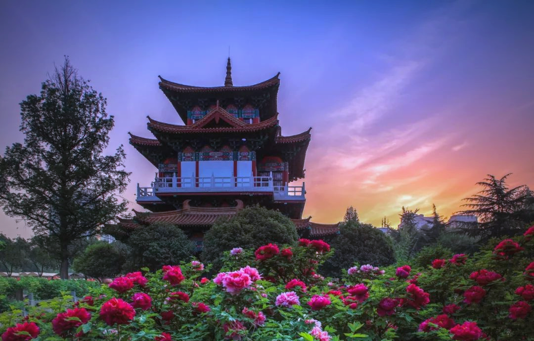 洛阳王城公园,洛阳王城公园动物园
