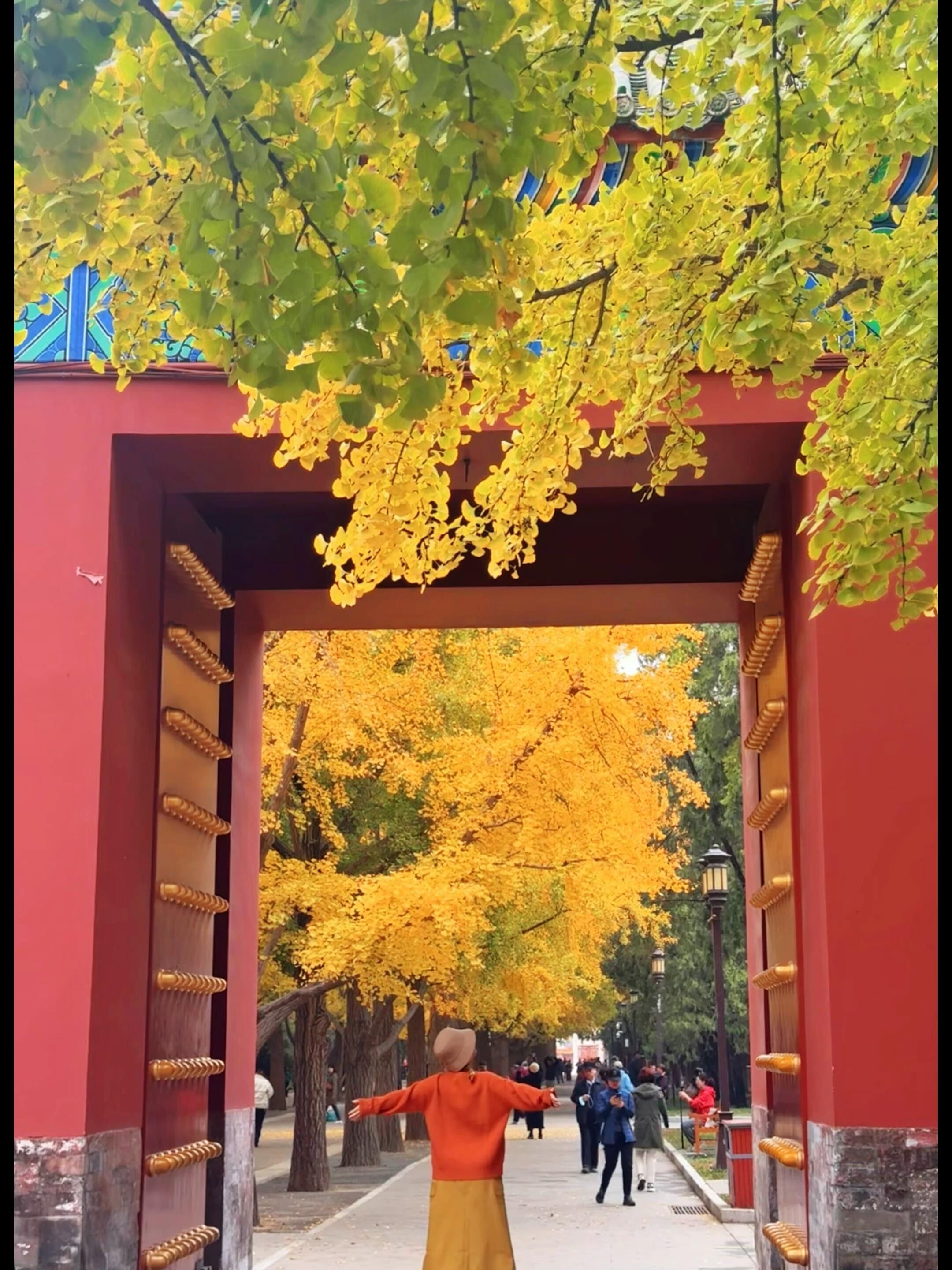 地坛公园地址,天坛公园介绍