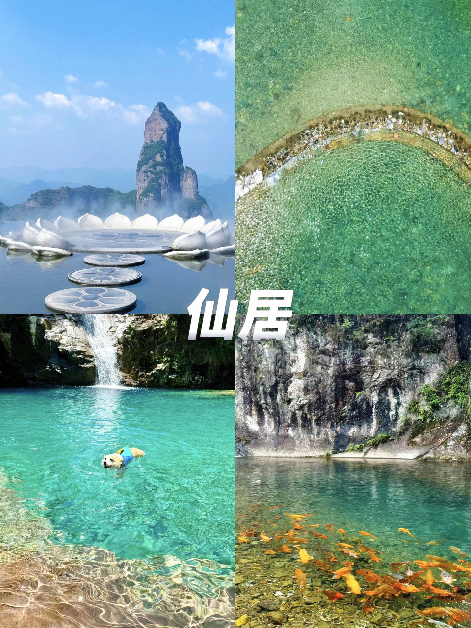 仙居旅游景点大全,仙居旅游景点大全如意桥