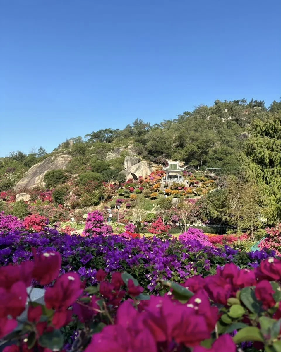 厦门万石植物园攻略,厦门万石植物园免费开放时间