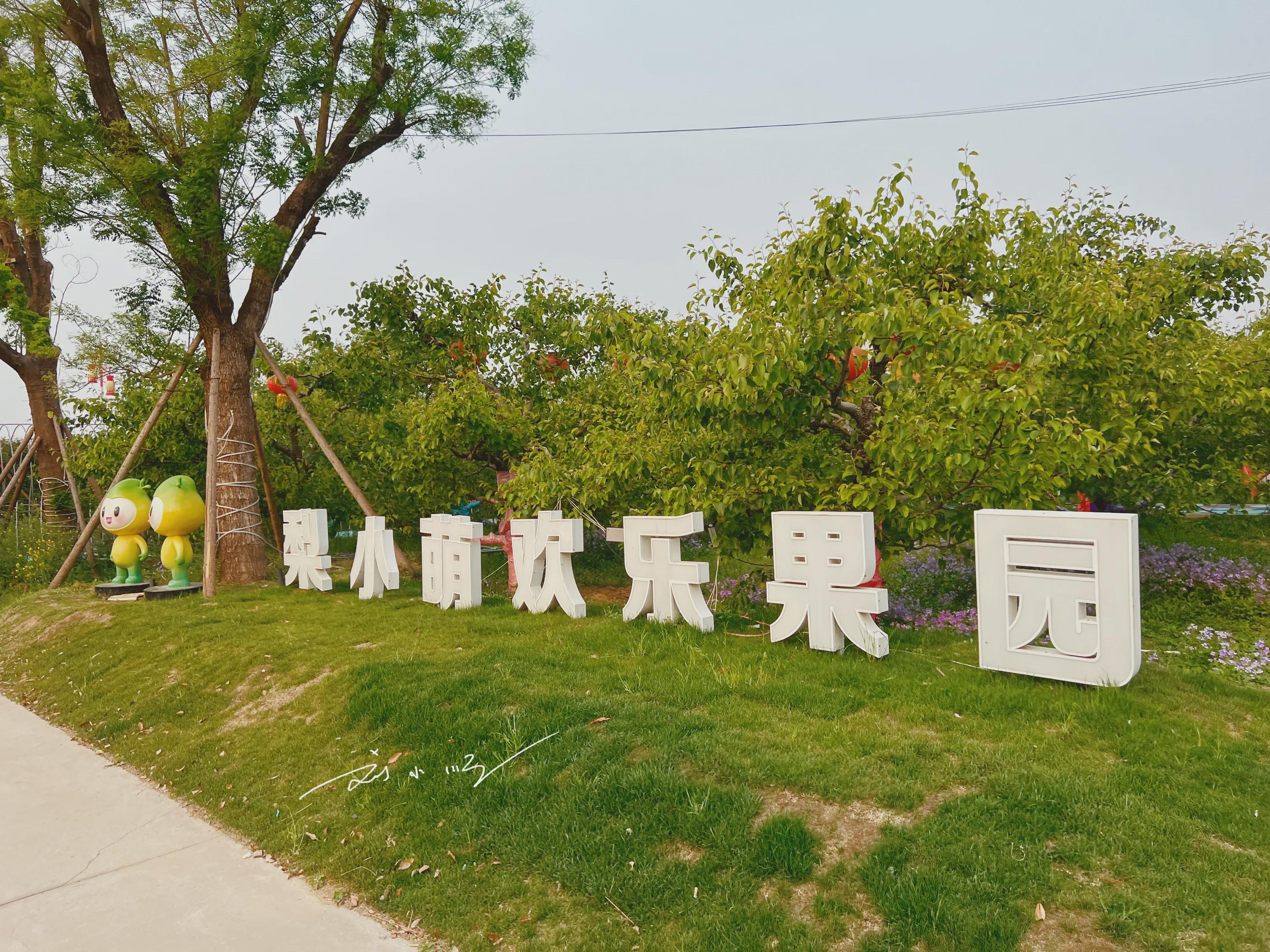 梨园主题公园,梨园主题公园要门票吗