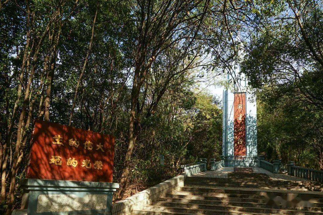 芝山公园,芝山公园介绍