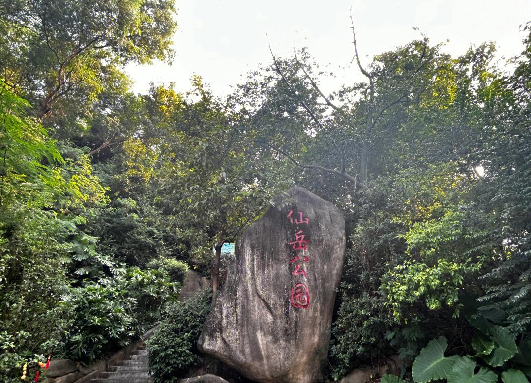仙岳山公园,仙岳山公园简介