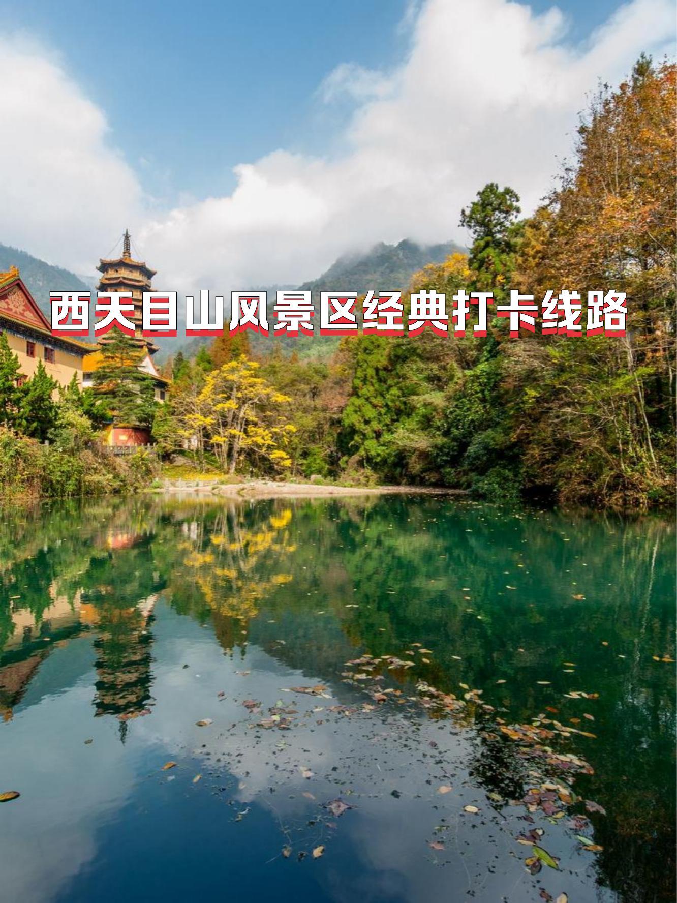 天目山旅游攻略,杭州天目山旅游攻略