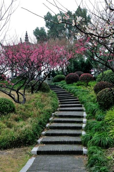上海莘庄公园,上海莘庄公园地址