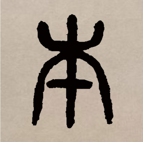 本组词,套组词