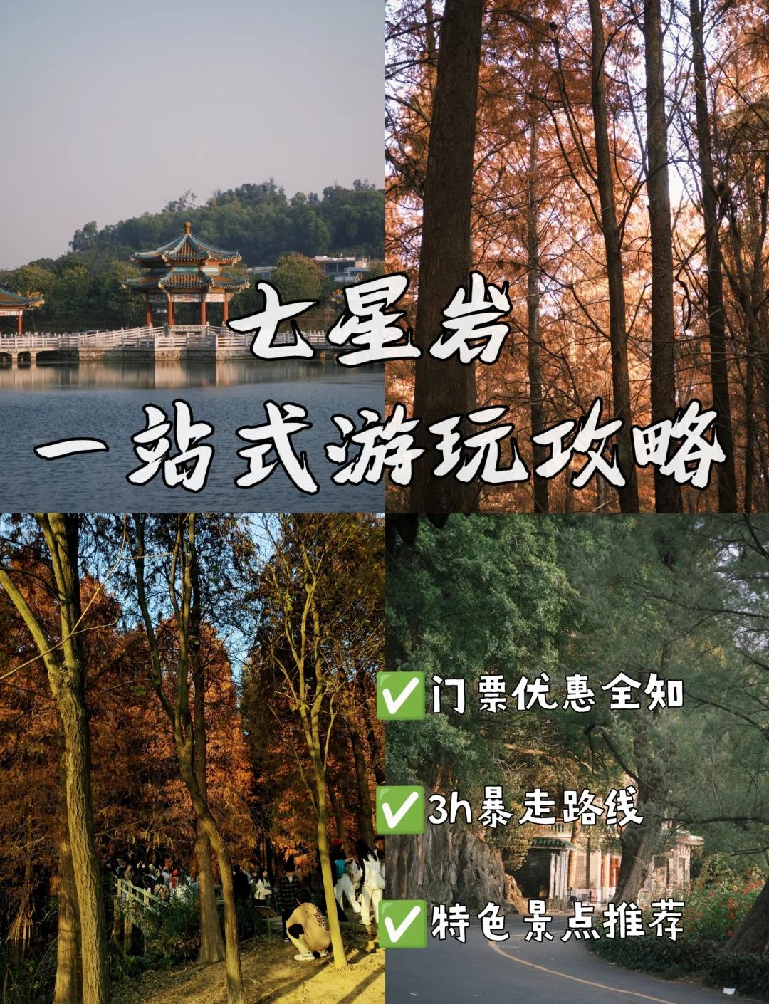 七星岩旅游攻略,七星岩旅游攻略图