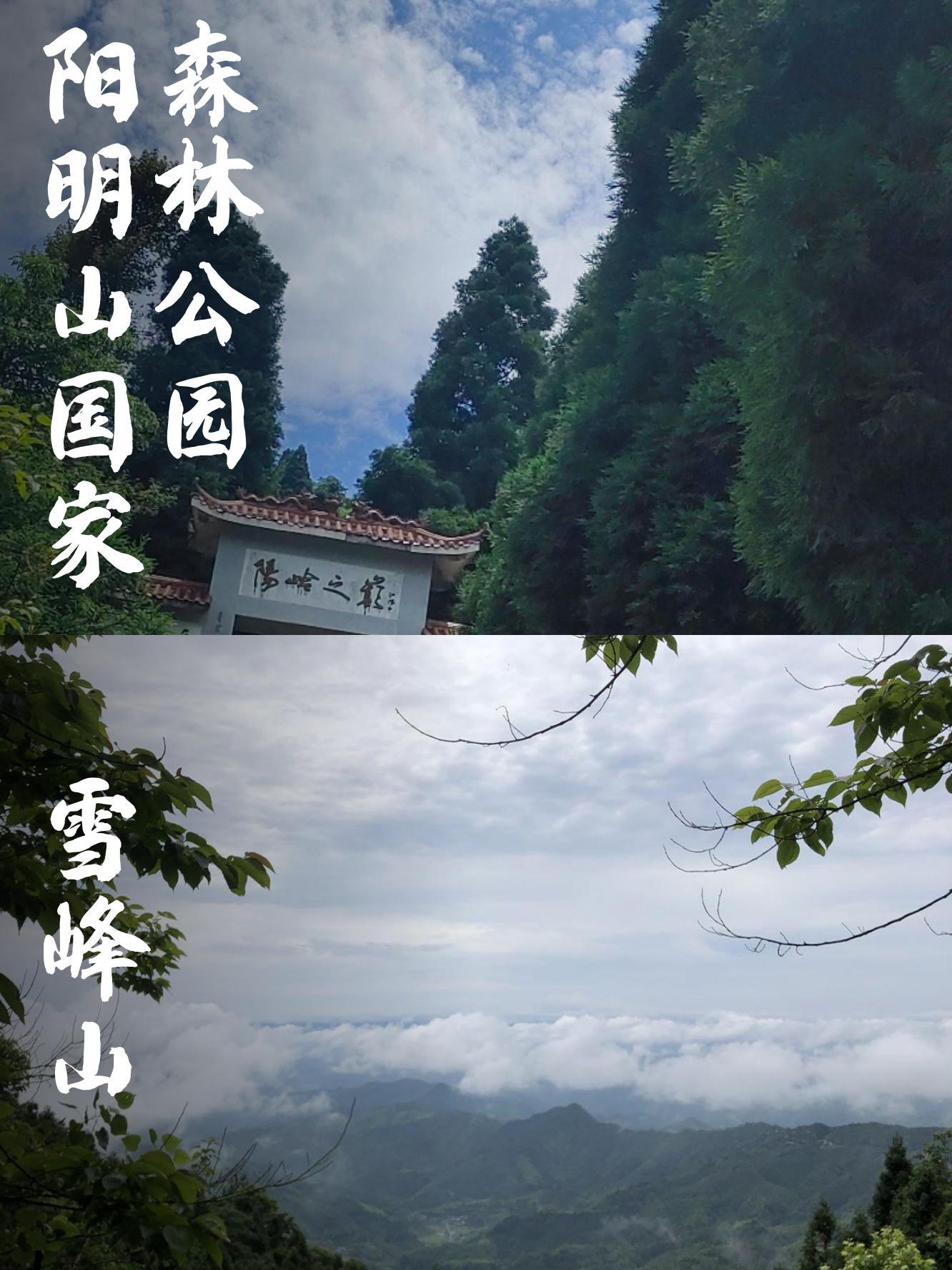 阳明山攻略,阳明山在哪儿