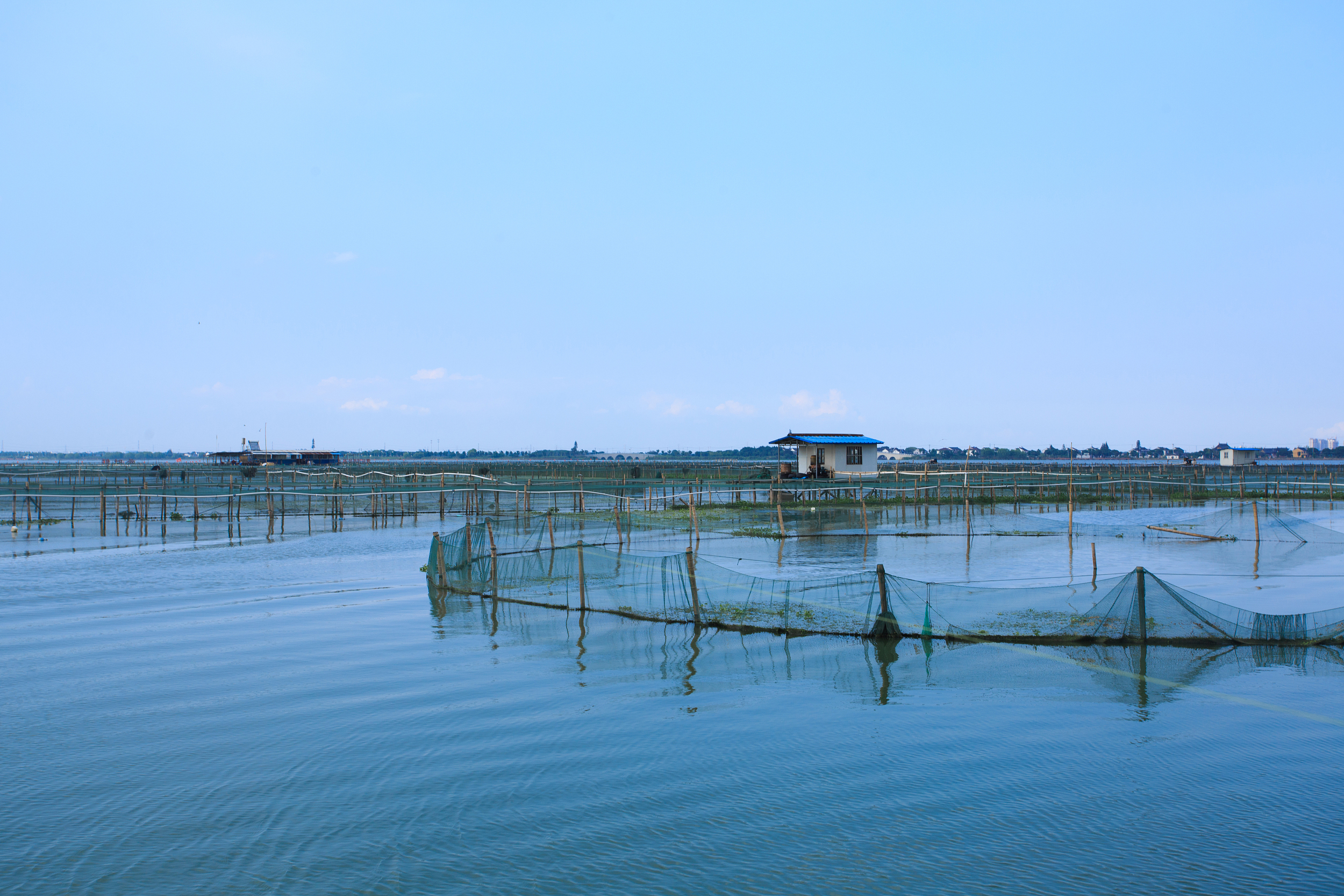 阳澄湖在哪里哪个省的,阳澄湖在哪个省哪个城市