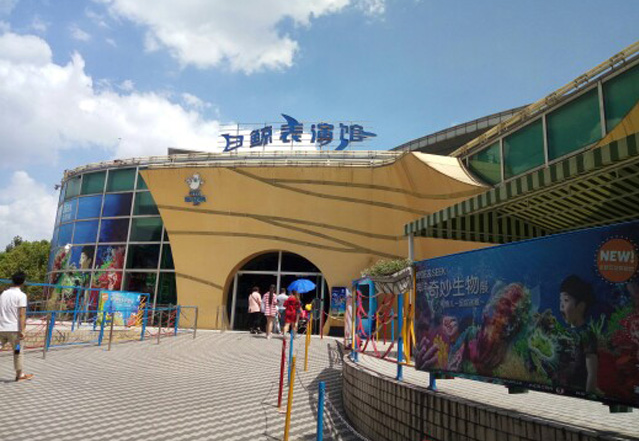 长风公园海洋世界,长风公园海洋馆官网
