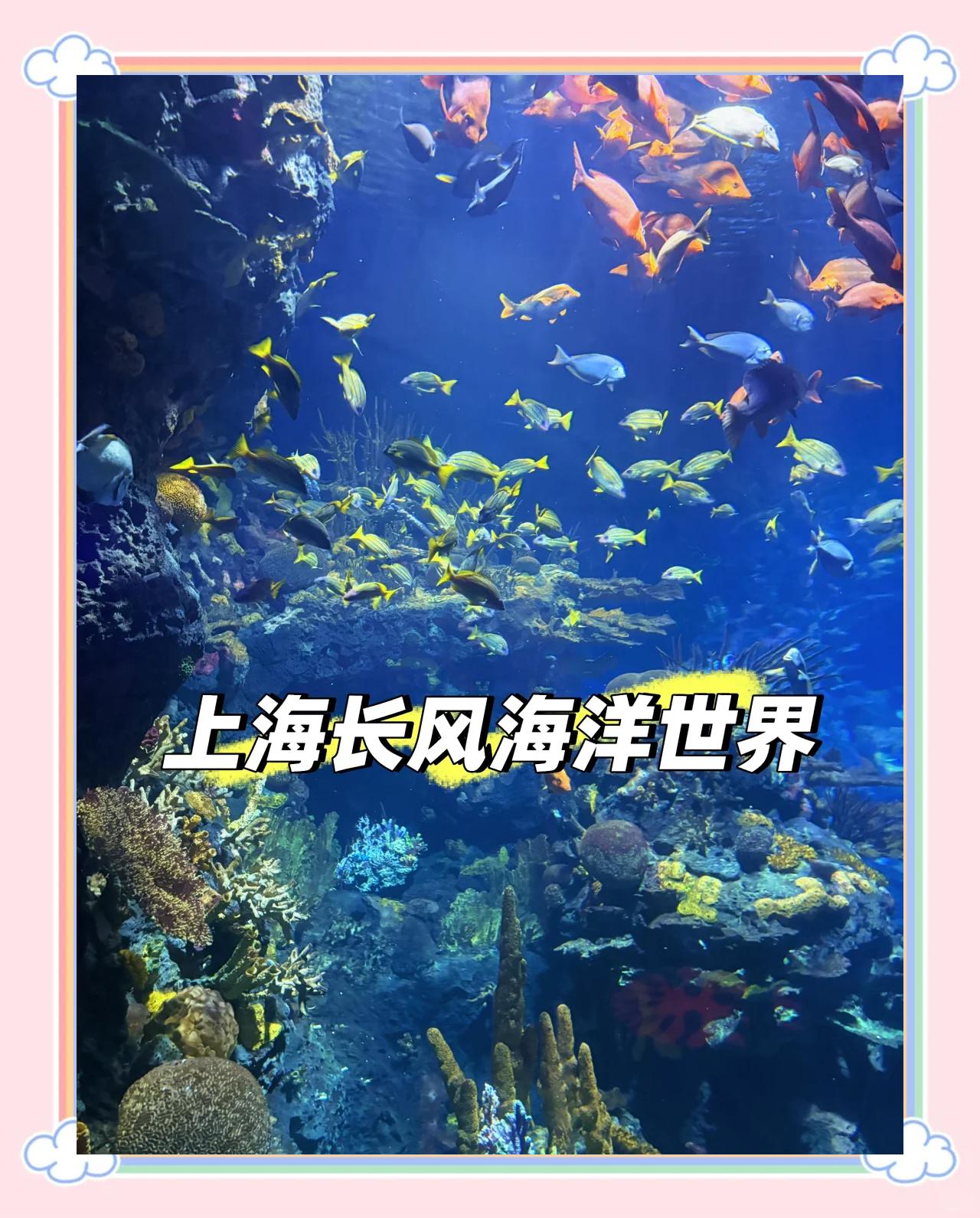 长风公园海洋世界,长风公园海洋馆官网