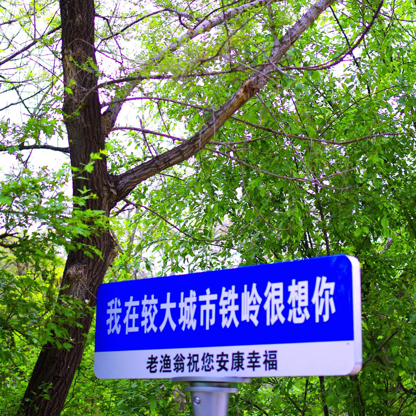 龙首山攻略,去牛首山必去5个景点