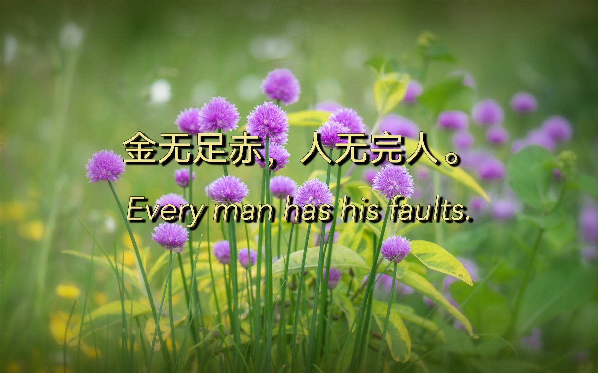 金无足赤什么意思啊,金无足赤人无完人出处