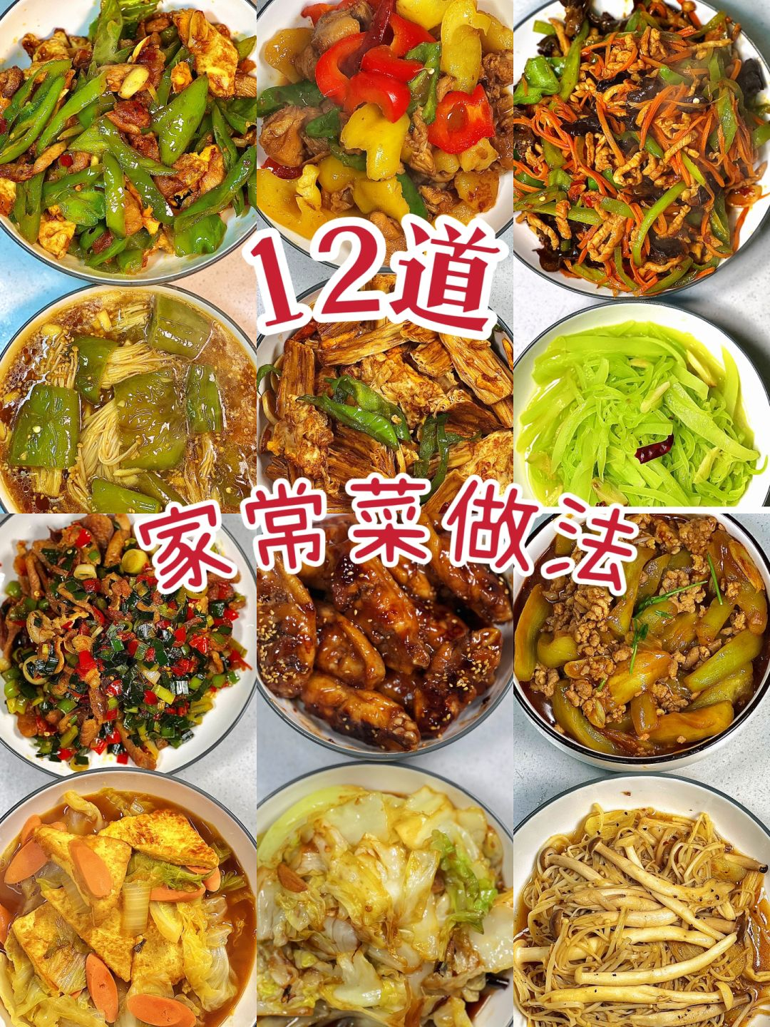 菜谱大全之100道家常菜谱下载,菜谱大全之100道家常菜谱图片
