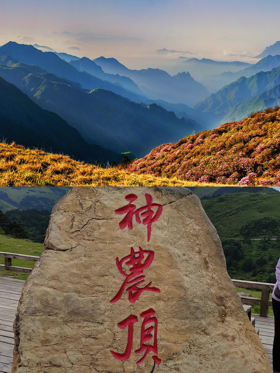 湖北神农架旅游景点介绍,湖北神农架有什么好玩的景点